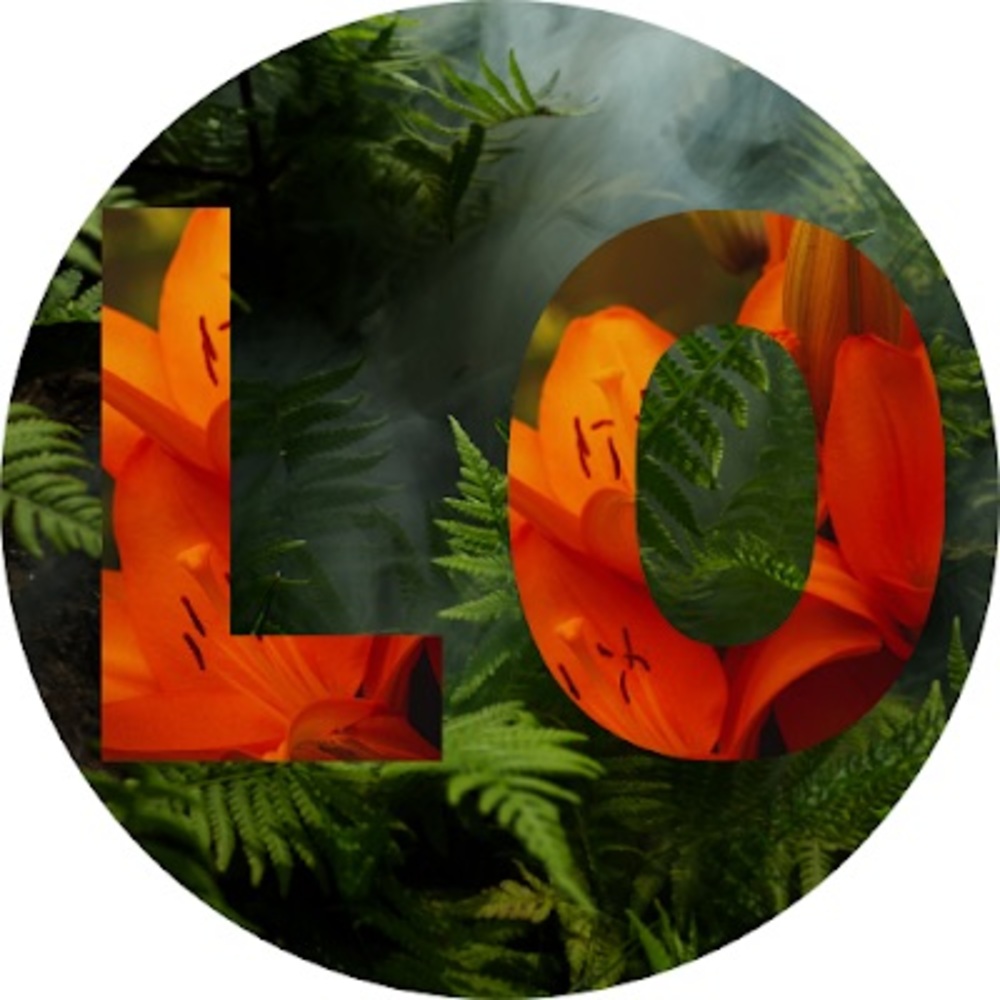 Meet your Posher, Lovely